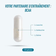 BCAA 500 