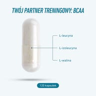 BCAA 500 