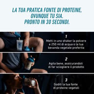 Proteine Vegane in stick