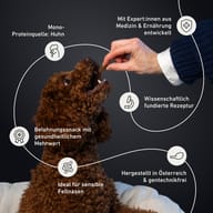 brauner lockiger Hund bekommt Leckerli aus Hand, englischer Text, Symbole, Kreislinien