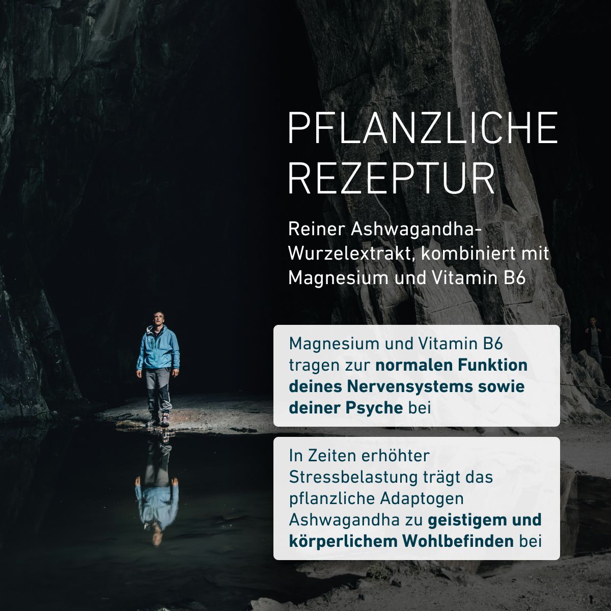 Biogena, Ashwagandha Formula, Flasche, weiß, Mit Magnesium und Vitamin B6
