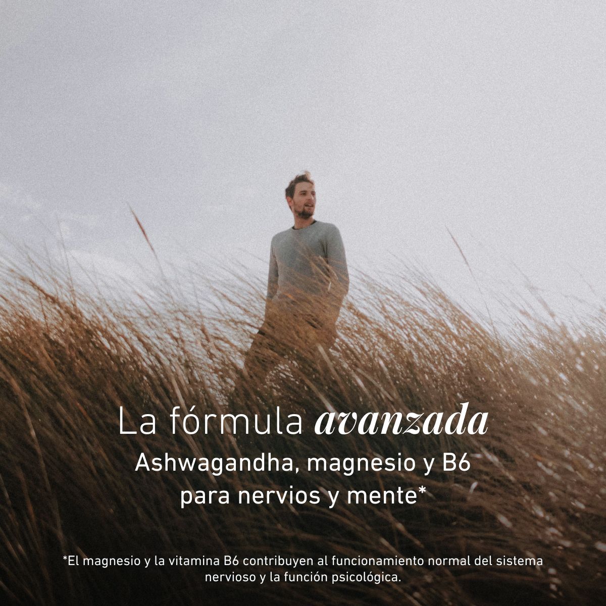 Biogena, Ashwagandha Formula, Botella, blanco, Con magnesio y vitamina B6