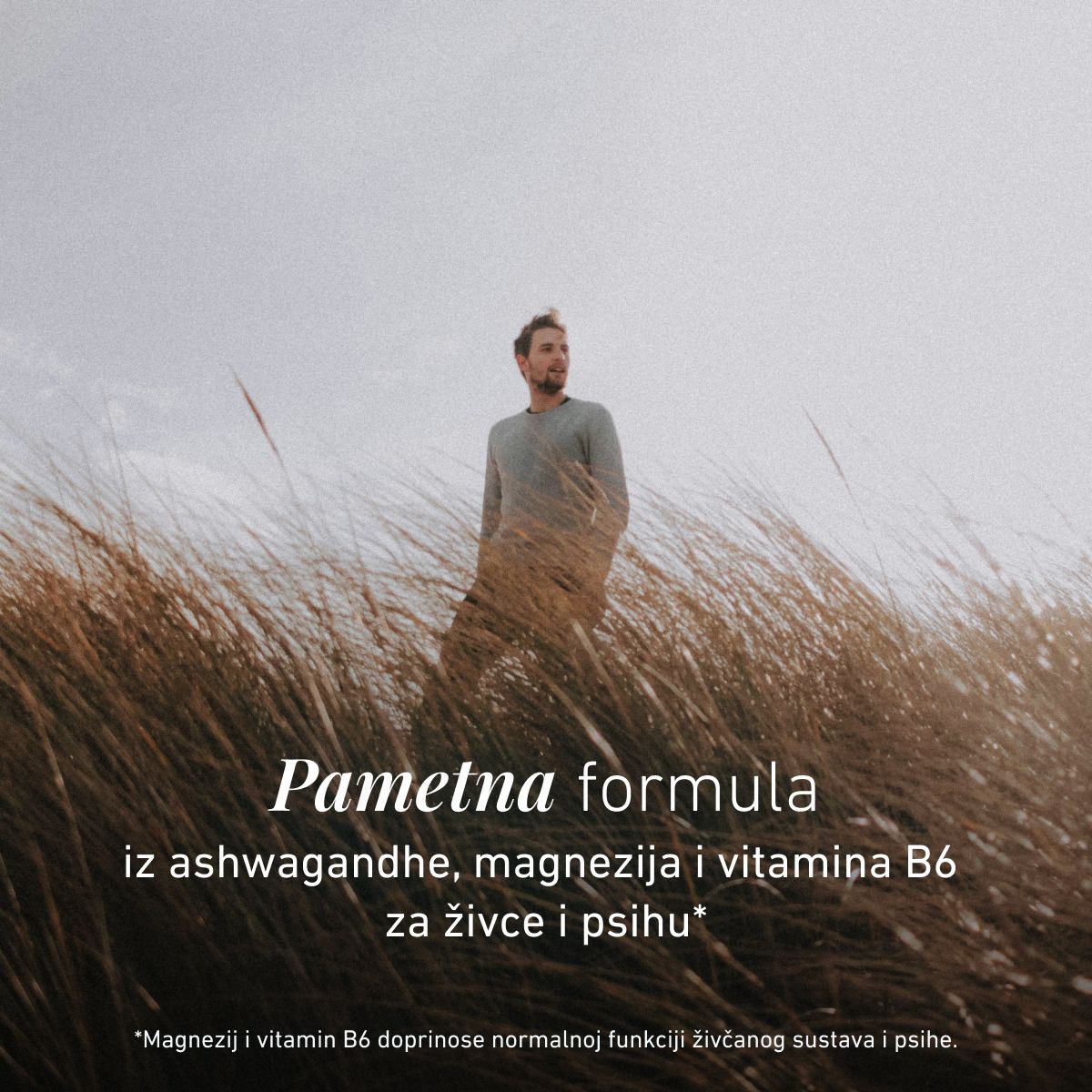 Biogena, Ashwagandha Formula, Boca, bijela, S magnezijem i vitaminom B6