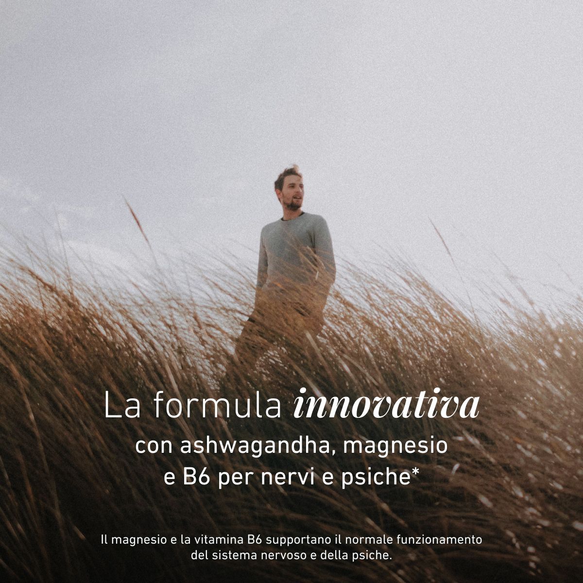 Biogena, Ashwagandha Formula, Bottiglia, bianco, Con magnesio e vitamina B6