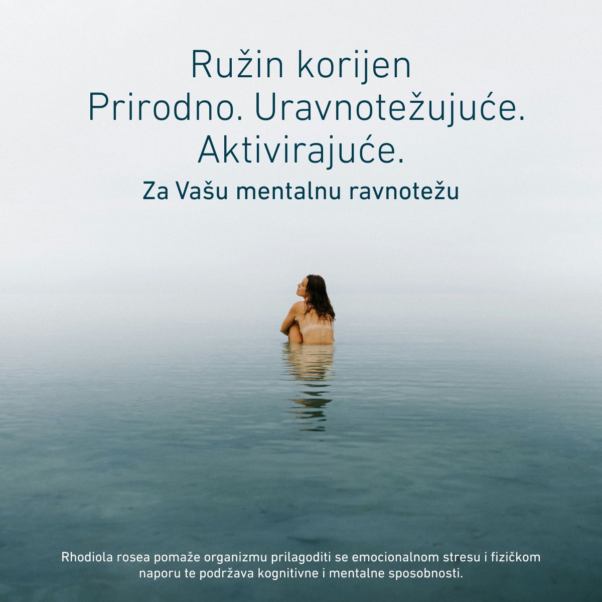 Biogena, Rhodiola Rosea, Boca, bijela, Ekstrakt korijena ruže za podršku tijelu pri stresu, za mentalnu aktivnost i vitalnost®