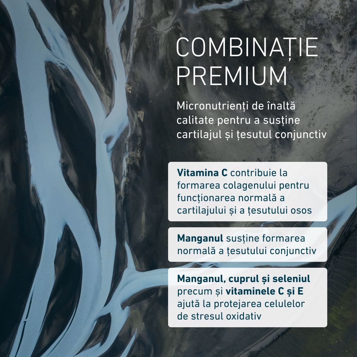Biogena, Arthro Formula® 4, Sticlă, alb, Preparat premium pentru menținerea funcției cartilajului, integrității celulare și structurilor țesutului conjunctiv®