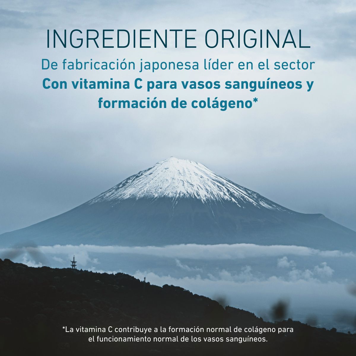 Biogena, Nattokinase Superior, Botella, blanco, Materia prima prémium NSK-SD® del líder del mercado mundial