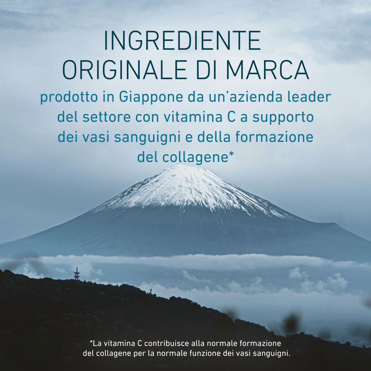 Biogena, Nattokinase Superior, Bottiglia, bianco, Materia prima premium NSK-SD® dal leader mondiale di mercato