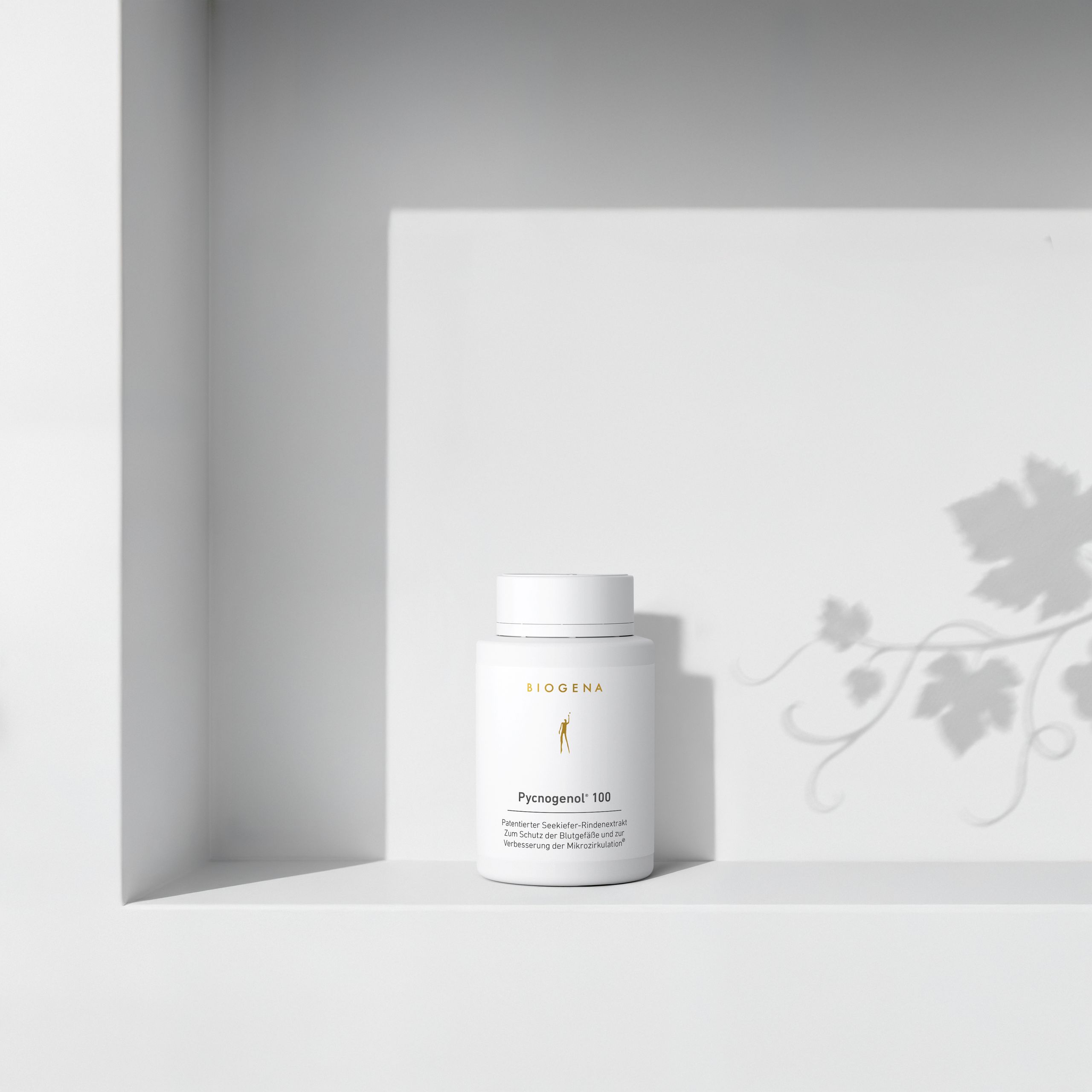 Biogena, Pycnogenol® 100, Bottle, white, Patented maritime pine bark extract For the protection of blood vessels and for improvement of microcirculation®