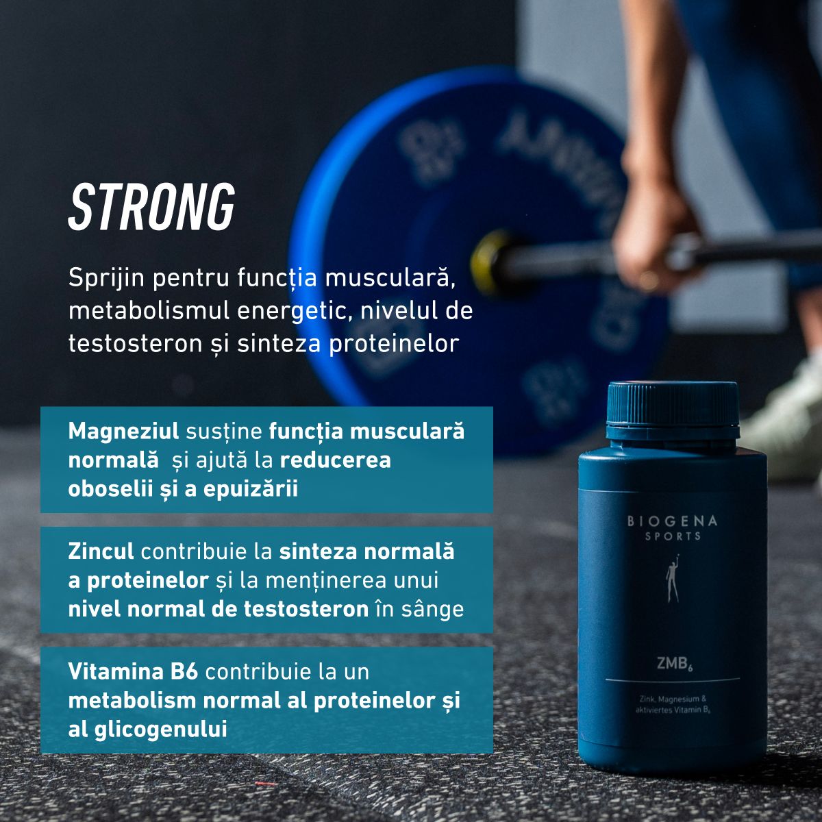 Biogena Sports, ZMB₆, Sticlă, petrol, Zinc, Magneziu & vitamina B6 activată