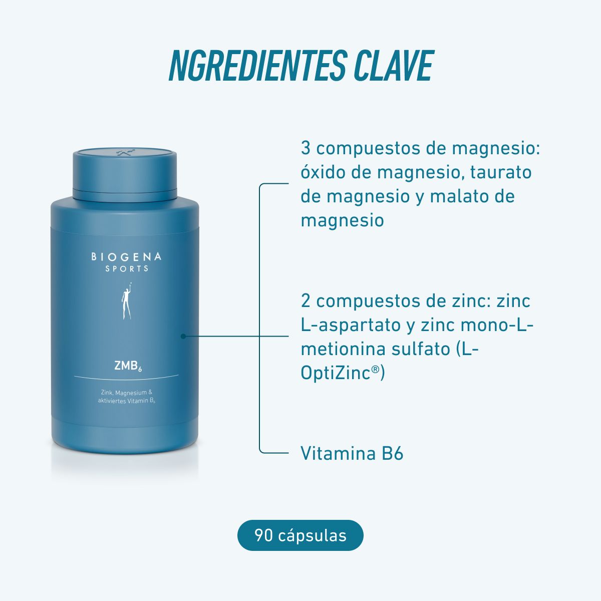 Biogena Sports, ZMB₆, Botella, petrol, Zinc, Magnesio y vitamina B6 activada