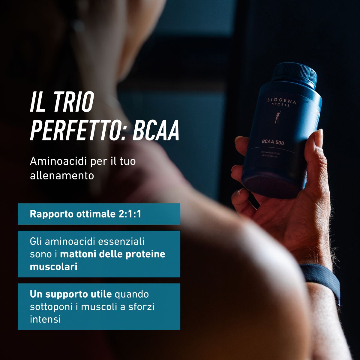 Biogena Sports, BCAA 500, Bottiglia, petrol, Aminoacidi a catena ramificata