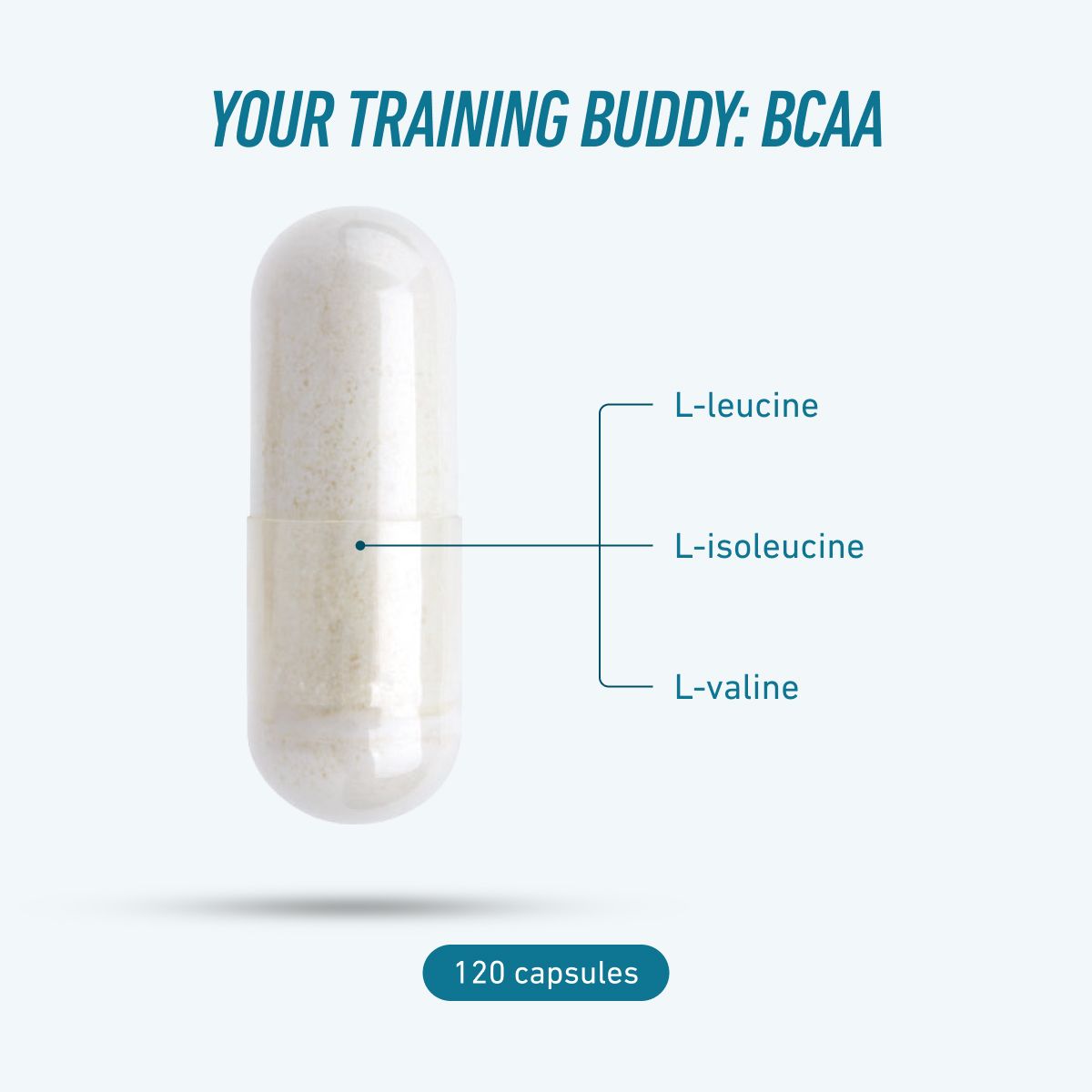 BCAA 500 