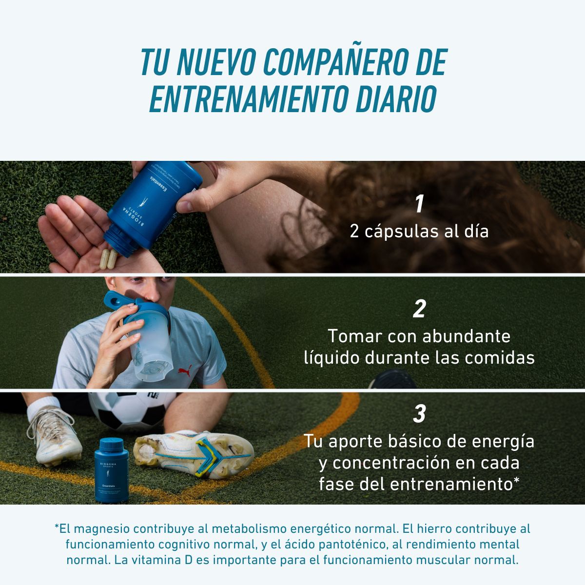 Biogena Sports, Essentials, Botella, petrol, Suministro básico especial para energía y enfoque en cada fase de entrenamiento®