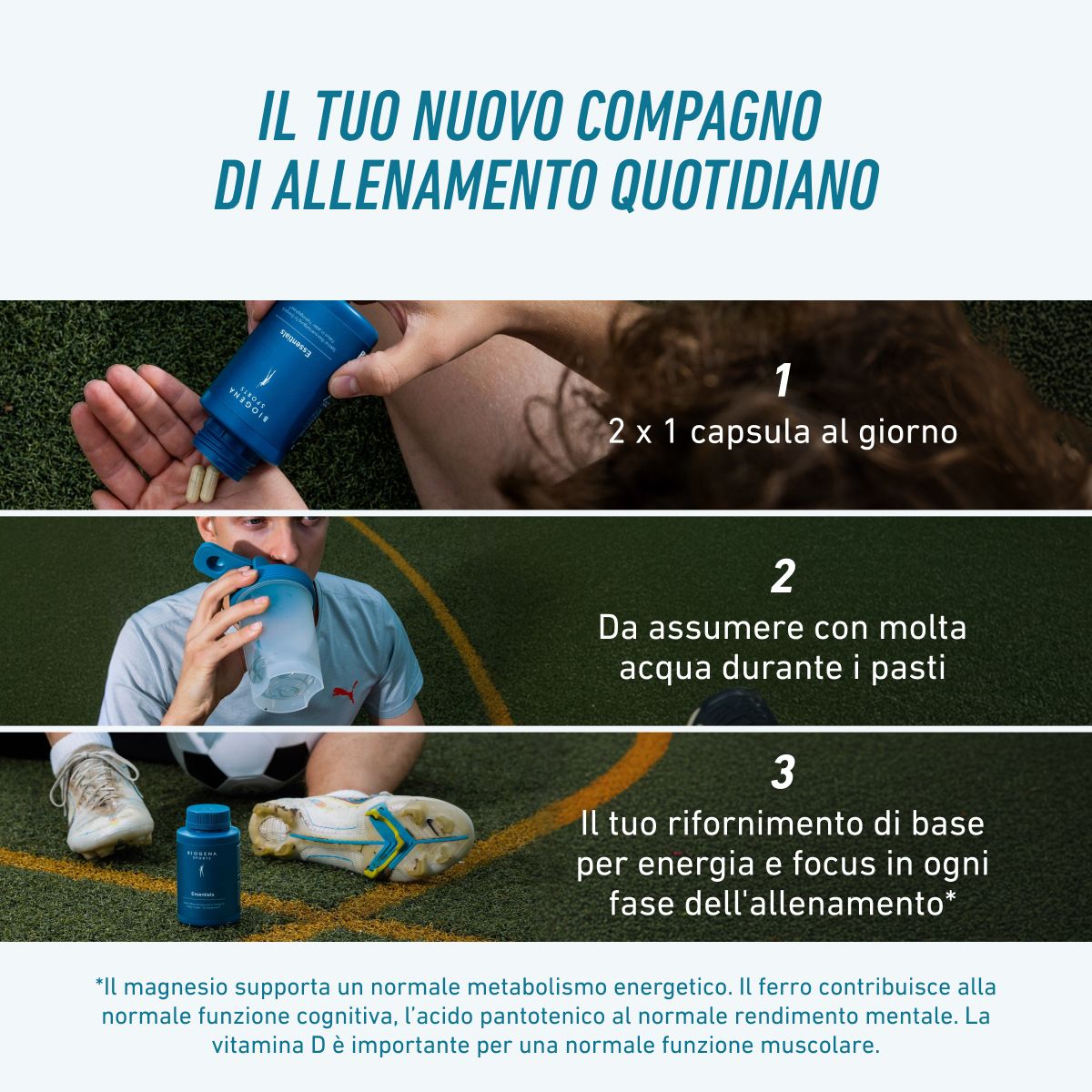 Biogena Sports, Essentials, Bottiglia, petrolio, Apporto di base speciale per energia e focus in ogni fase di allenamento®