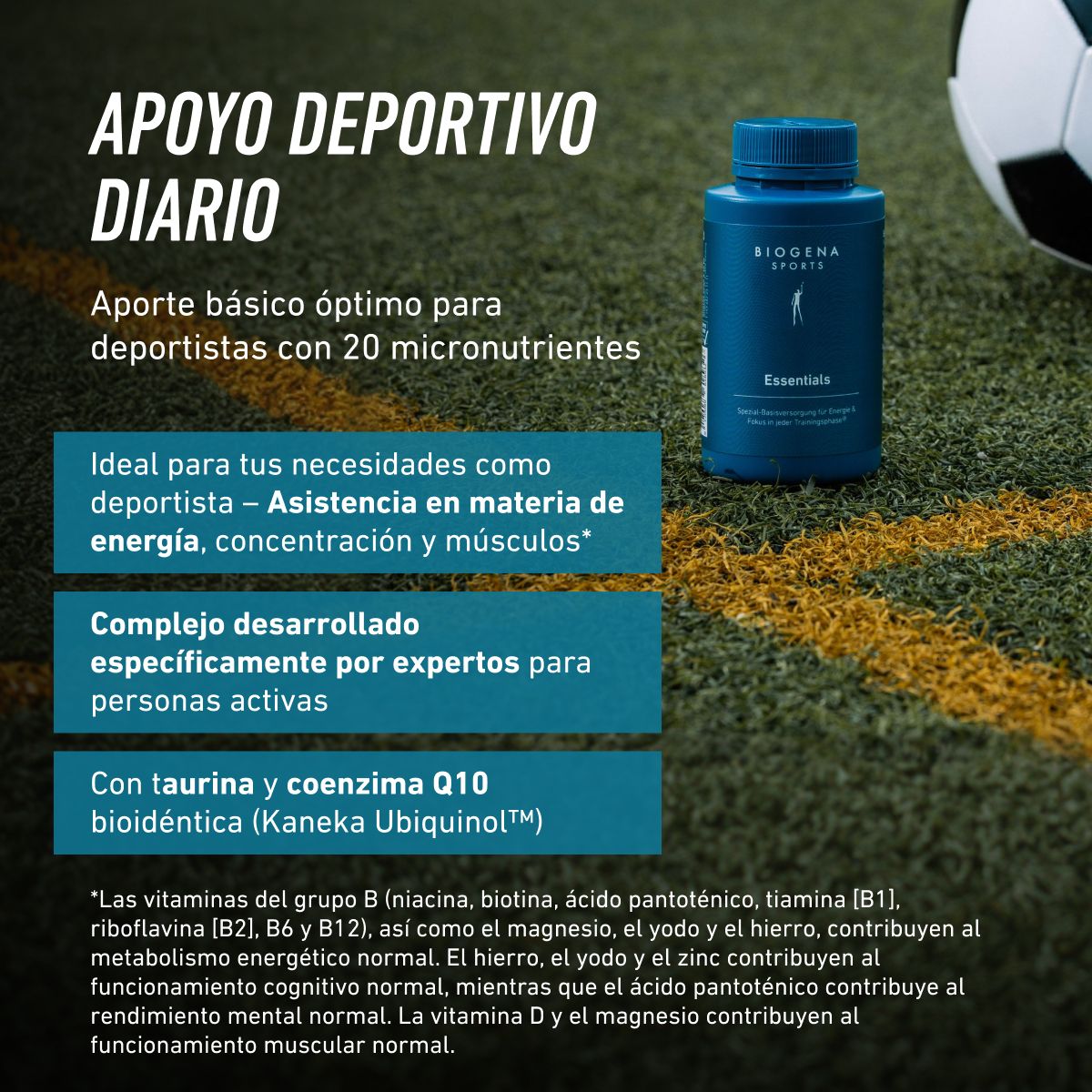 Biogena Sports, Essentials, Botella, petrol, Suministro básico especial para energía y enfoque en cada fase de entrenamiento®