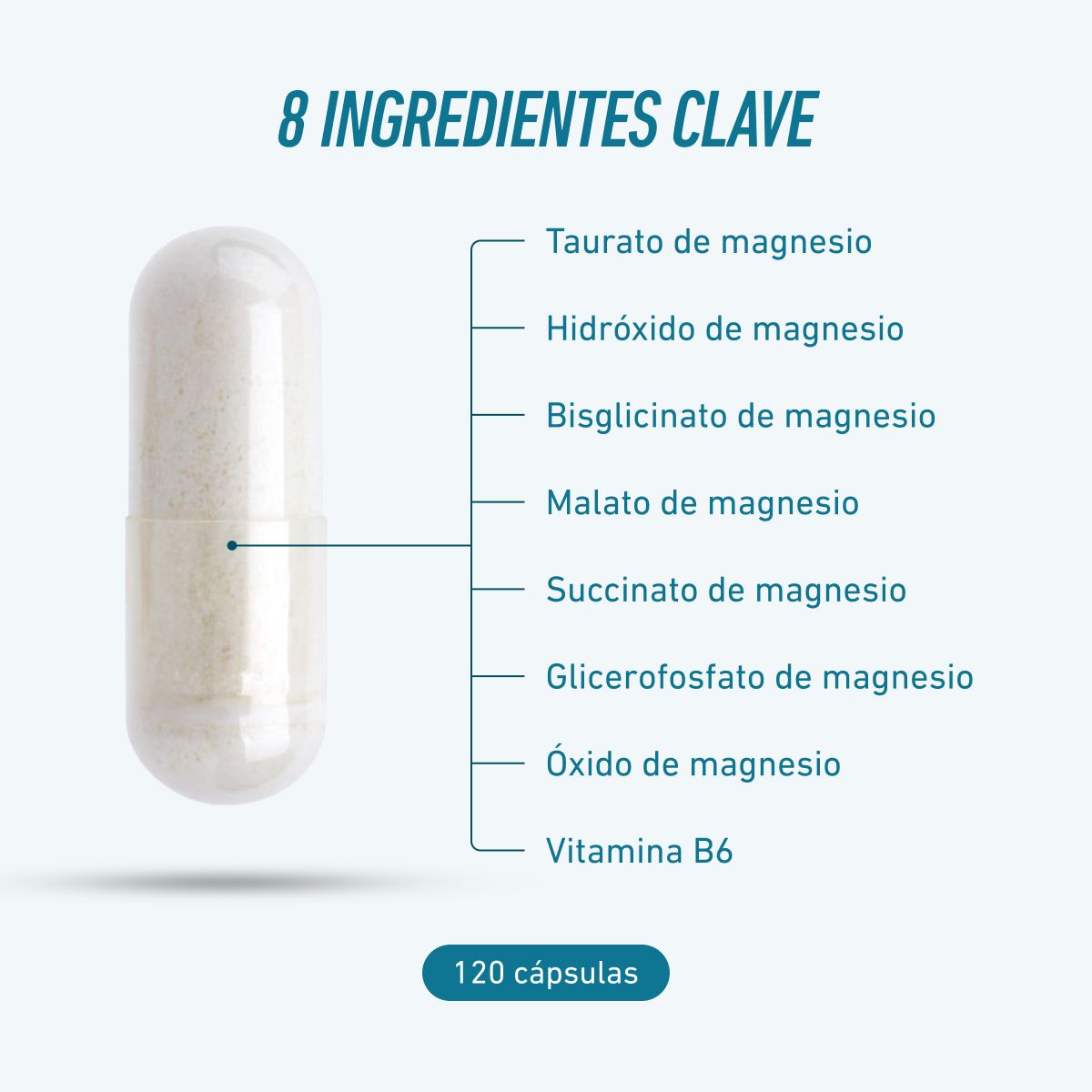 Biogena Sports, Magnesium Sport, Botella, petrol, Magnesio de 7 compuestos y vitamina B6 activada