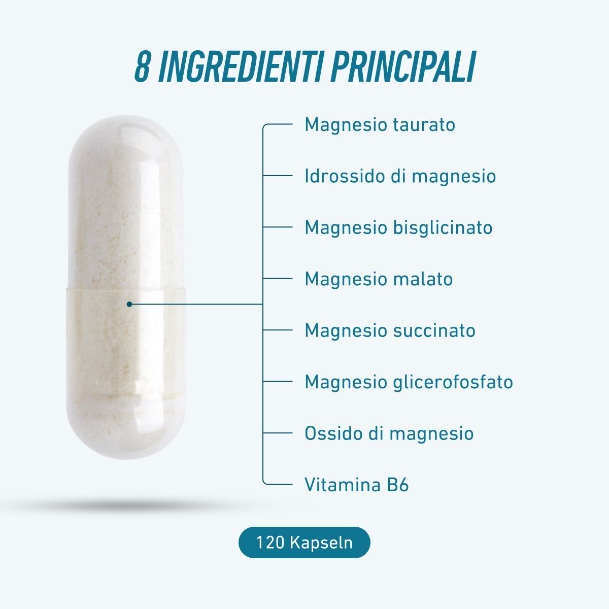 Biogena Sports, Magnesium Sport, Bottiglia, petrol, Magnesio da 7 composti e vitamina B6 attivata
