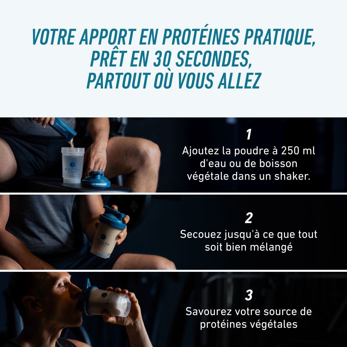 Biogena Sports, Vegan Protein Sticks, Carton, pétrole, CS 198/18: Poudre de protéines végétales à haute valeur biologique ainsi que de précieux BCAA