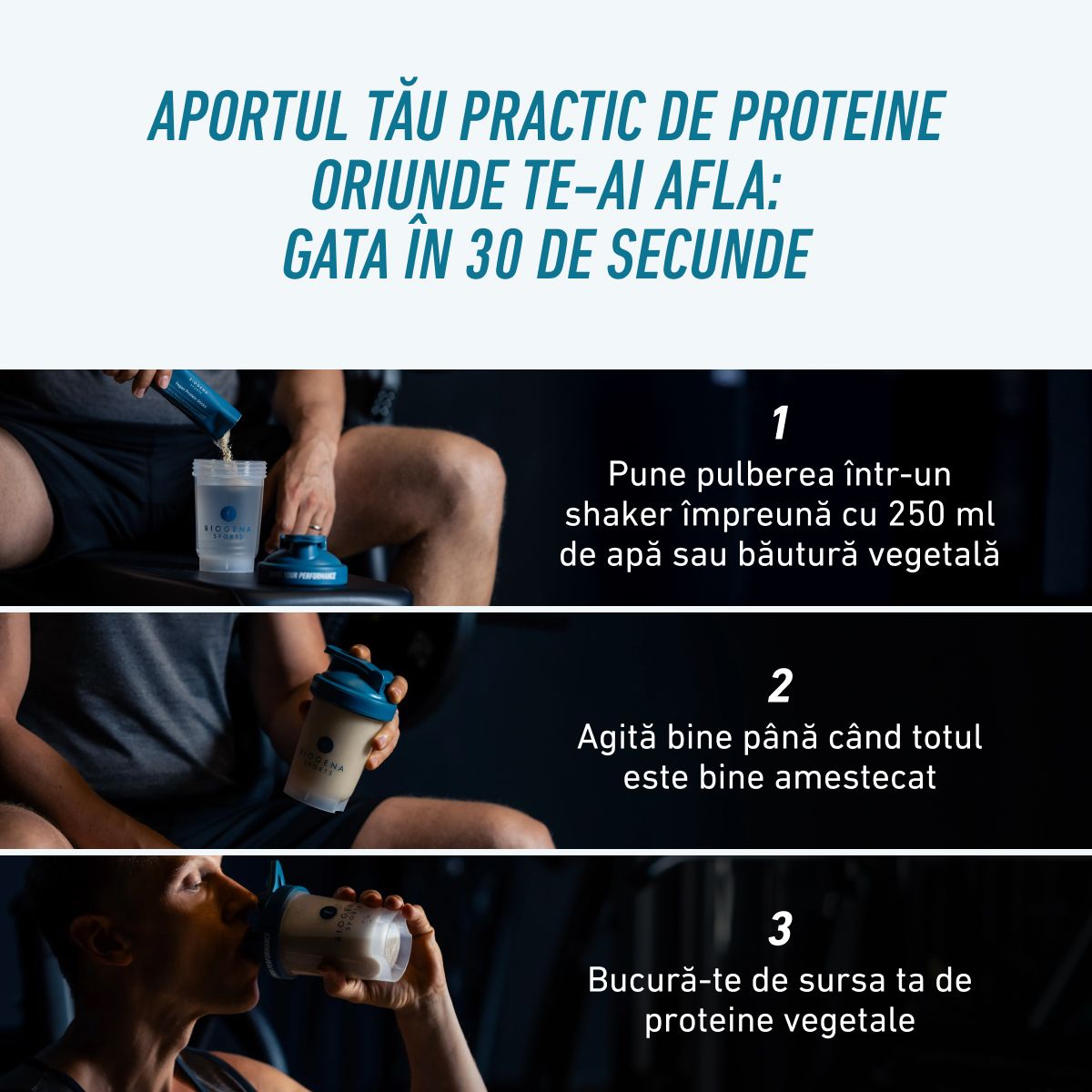 Biogena Sports, Vegan Protein Sticks, Cutie, petrol, CS 198/18: Pudră proteică vegetală cu valoare biologică ridată precum și BCAA valoroși