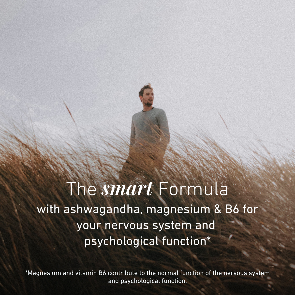 Ashwagandha Relax Formula