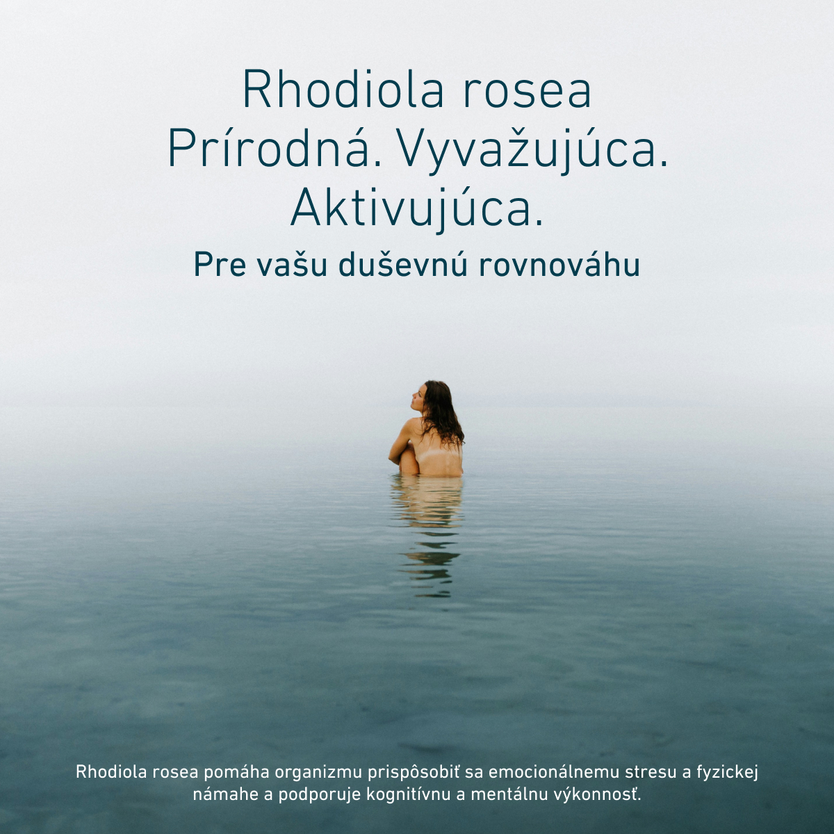 Rhodiola rosea je prírodný rastlinný extrakt podporujúci duševnú rovnováhu. Pomáha organizmu prispôsobiť sa emocionálnemu stresu a fyzickej námahe a zároveň podporuje kognitívnu a mentálnu výkonnosť.