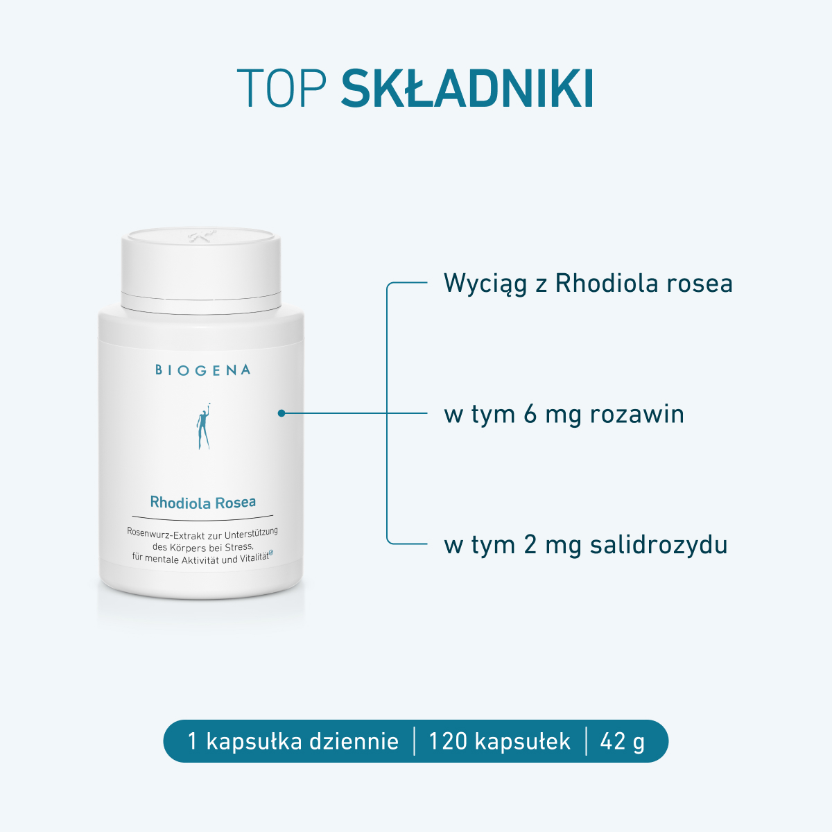 Opakowanie BIOGENA Rhodiola Rosea z przeglądem głównych składników: ekstrakt z różeńca górskiego z 6 mg rozawin i 2 mg salidrozydów.