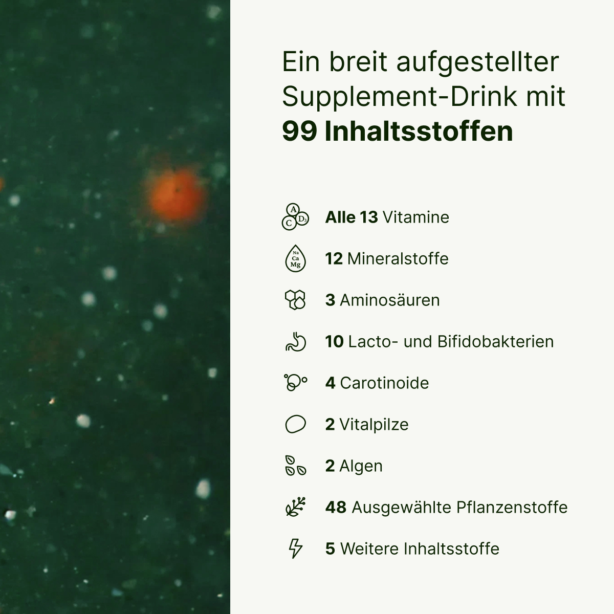 BIOGENA ONE Supplement-Drink mit 99 Inhaltsstoffen. Darstellung der Zusammensetzung: 13 Vitamine, 12 Mineralstoffe, 3 Aminosäuren, 10 Lacto- und Bifidobakterien, 4 Carotinoide, 2 Vitalpilze, 2 Algen, 48 Pflanzenstoffe un