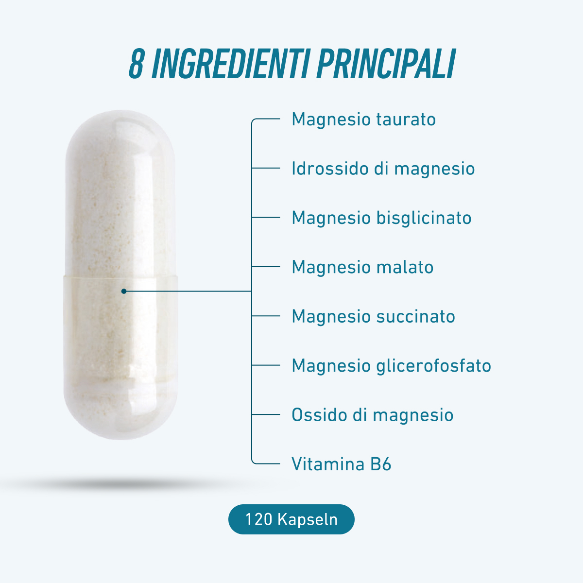 Biogena Sports Magnesium Sport z 8 wyselekcjonowanymi składnikami: siedmioma formami magnezu, w tym taurynianem, diglicynianem, jabłczanem i bursztynianem magnezu, uzupełnionymi witaminą B6. Do codziennej suplementacji.