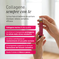 Collagene marino liquido in fiale da bere 10 g