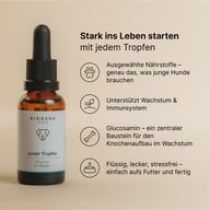 BIOGENA PETS Junior Tropfen mit ausgewählten Nährstoffen für junge Hunde. Unterstützen Wachstum & Immunsystem, enthalten Glucosamin für den Knochenaufbau. Flüssig, lecker & stressfrei – einfach tropfenweise direkt aufs F