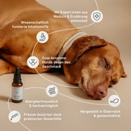 Biogena Pets Relax Tropfen Pipettenflasche, brauner Hund liegend, Halsband, Icons, Text