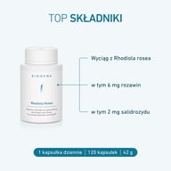 Opakowanie BIOGENA Rhodiola Rosea z przeglądem głównych składników: ekstrakt z różeńca górskiego z 6 mg rozawin i 2 mg salidrozydów.