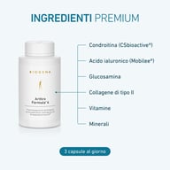 Artro Formula 4 Gold