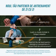 Partenerul tău zilnic de antrenament. Ia 2 capsule pe zi, cu multe lichide, ideal în timpul meselor. Suport de bază pentru energie, concentrare și performanță în fiecare fază de antrenament.