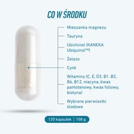 Grafika otwartej kapsułki przedstawiająca składniki Biogena Sports Essentials: mieszanka magnezu, tauryna, ubichinol, żelazo, cynk, witaminy i pierwiastki śladowe. Na dole: 120 kapsułek | 108 g.