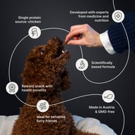 brown curly dog taking a treat from a hand, English text, icons, circular lines