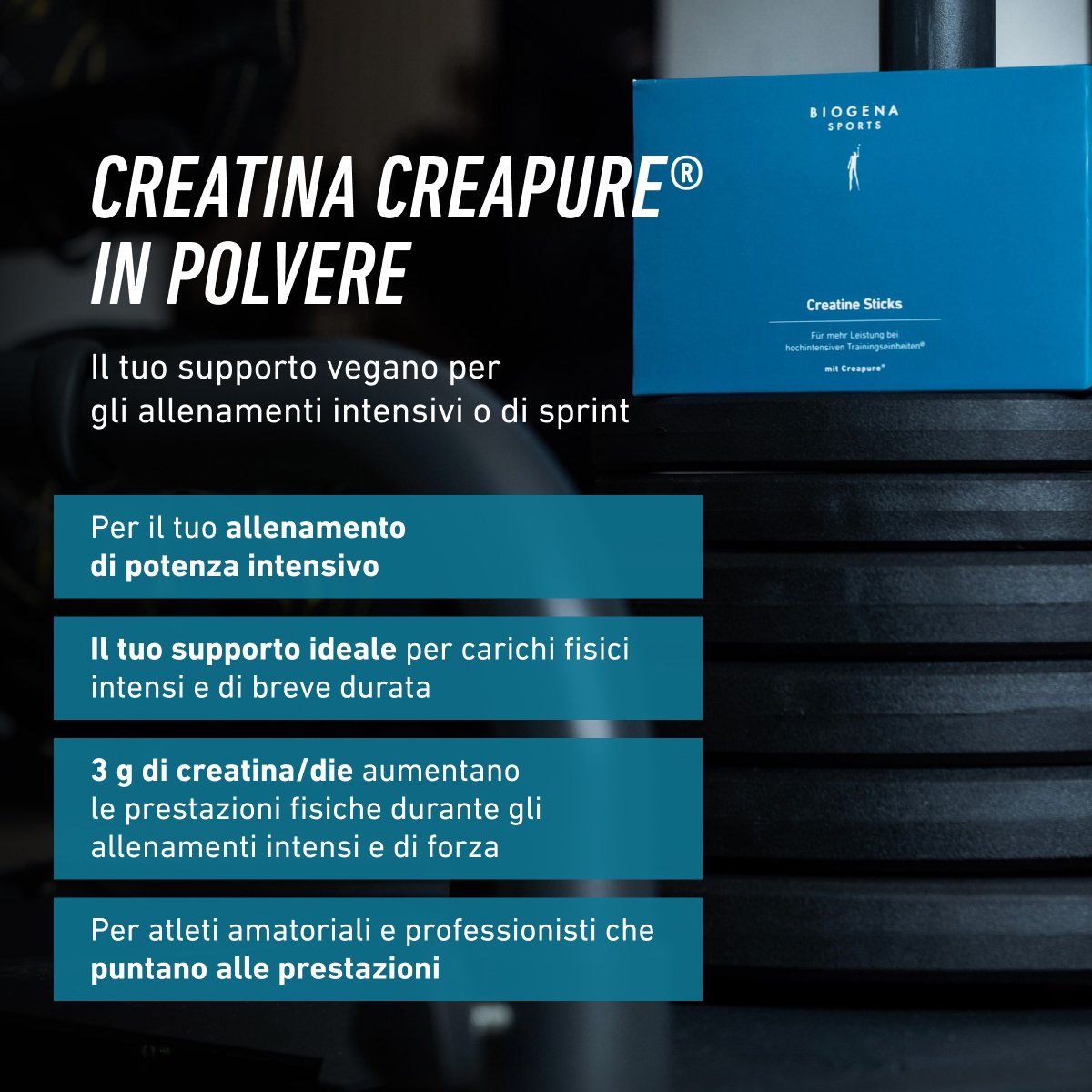 Biogena Sports, Creatine Sticks, Cartone, petrolio, Per maggiori prestazioni durante sessioni di allenamento ad alta intensità; con Creapure®