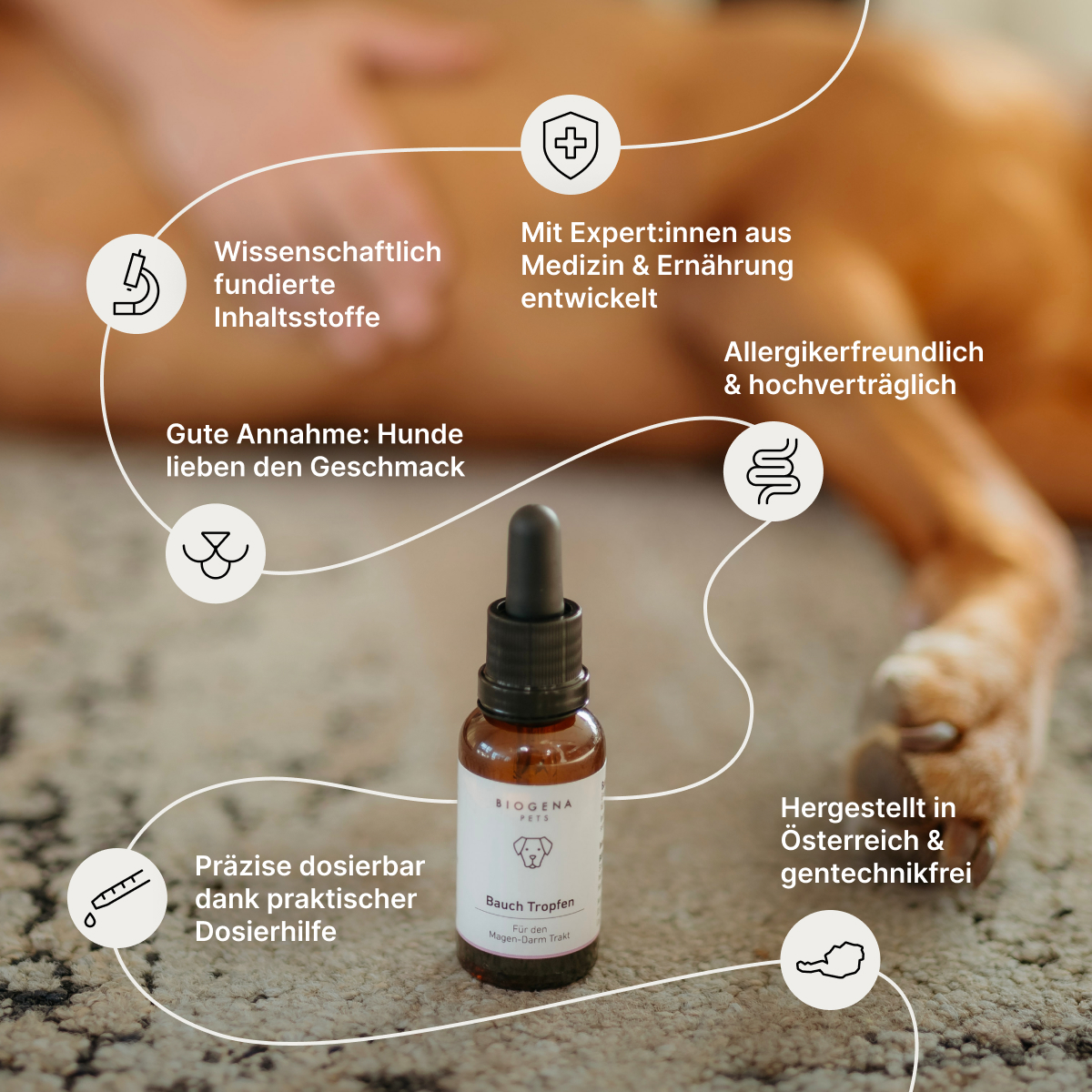 BIOGENA PETS Bauch Tropfen in brauner Glasflasche mit Pipette und weißer Verpackung mit schwarzer Schrift und Hundesymbol