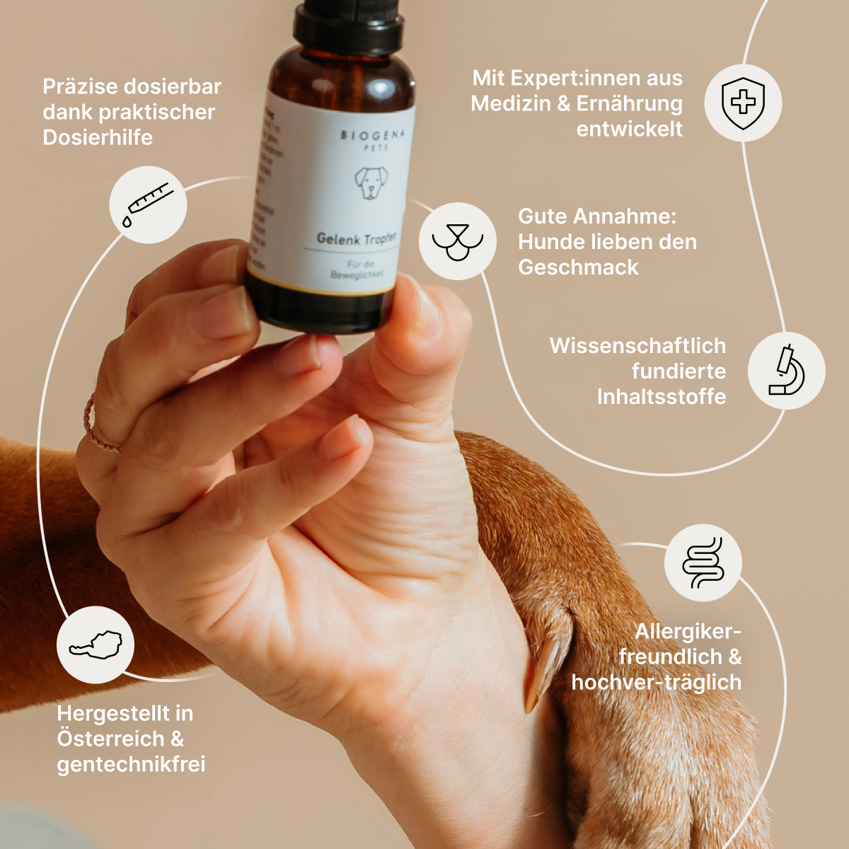 BIOGENA PETS Gelenk Tropfen für die Beweglichkeit in brauner Glasflasche mit Pipette und weißer Verpackung mit schwarzer Schrift und Hundesymbol