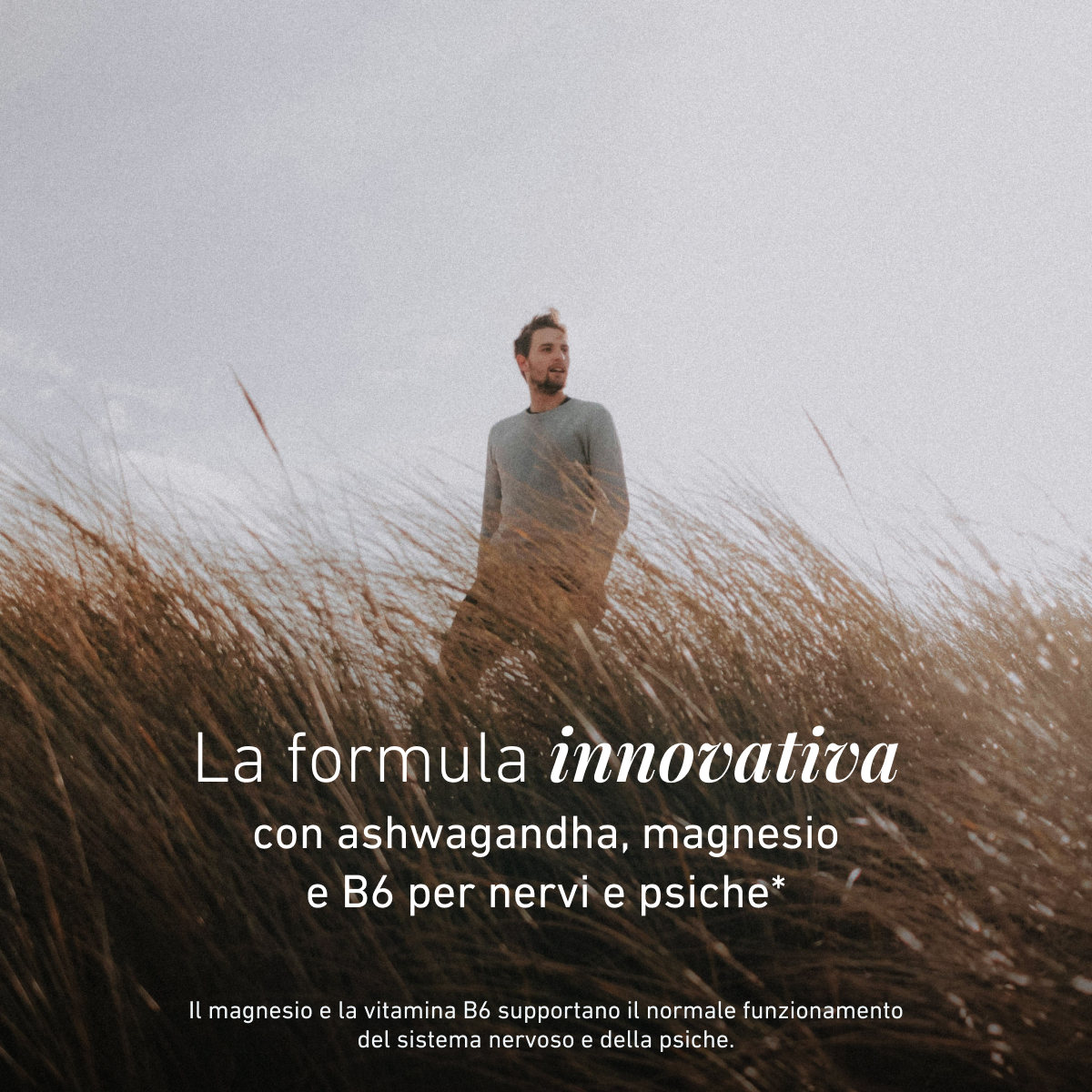 Biogena, Ashwagandha Formula, Bottiglia, bianco, Con magnesio e vitamina B6