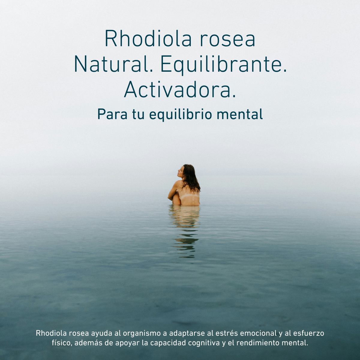 Biogena, Rhodiola Rosea, Botella, blanco, Extracto de raíz de rosa para apoyar al cuerpo en caso de estrés, para la actividad mental y la vitalidad®