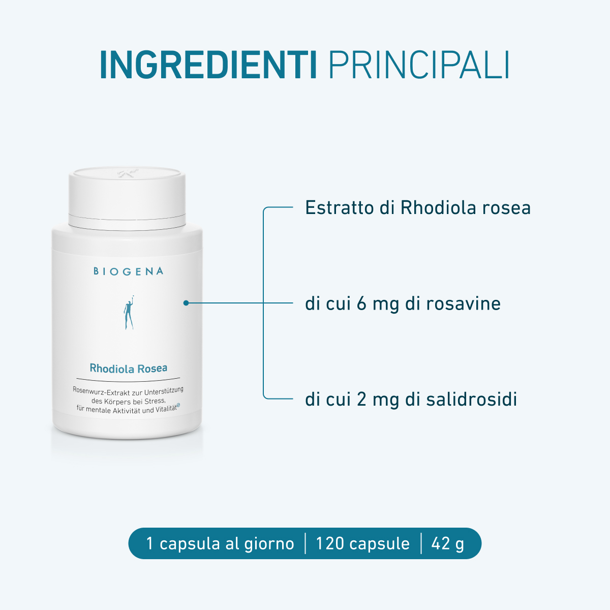 Biogena, Rhodiola Rosea, Flasche, weiß, Rosenwurz-Extrakt zur Unterstützung des Körpers bei Stress, für mentale Aktivität und Vitalität®