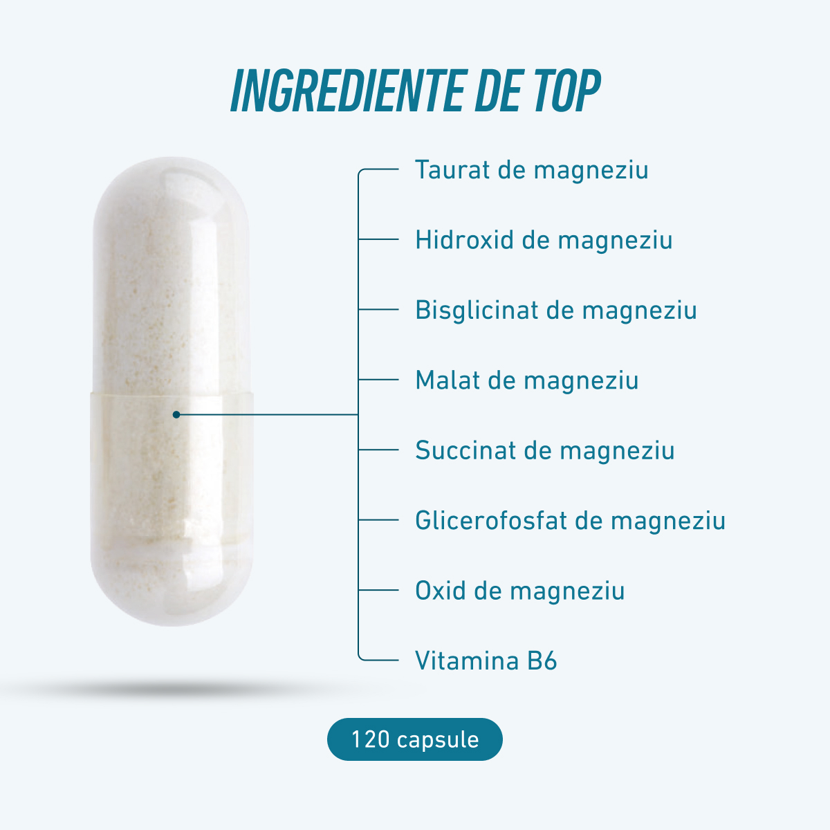 Biogena Sports, Magnesium Sport, Sticlă, petrol, Magneziu din 7 compuși și vitamina B6 activată