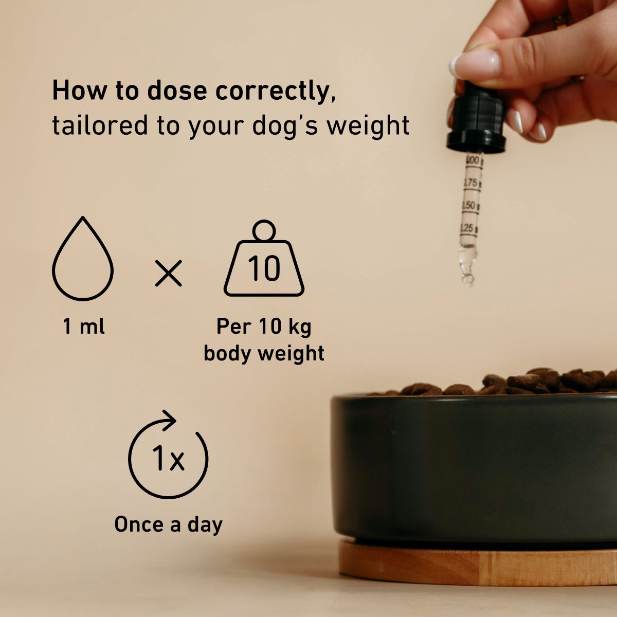 Hand holding dropper above bowl of dry dog food, dosing icons, English text