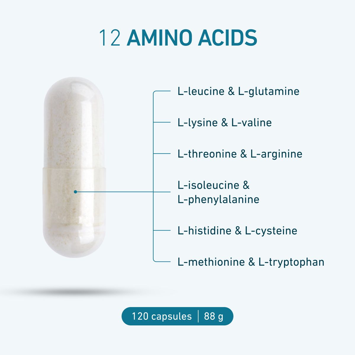 BIOGENA Aufbau Formula B-MAP® 12 capsule with 12 amino acids, including L-leucine, L-glutamine, L-lysine, L-valine, L-threonine, L-arginine, L-isoleucine and L-tryptophan. Pack contains 120 capsules, 88 g.
