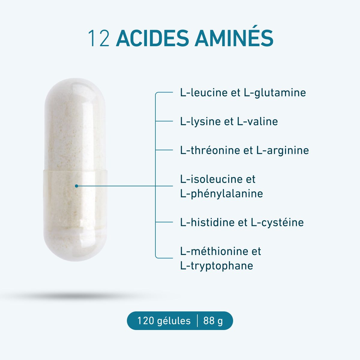 Formule B-Map® 12