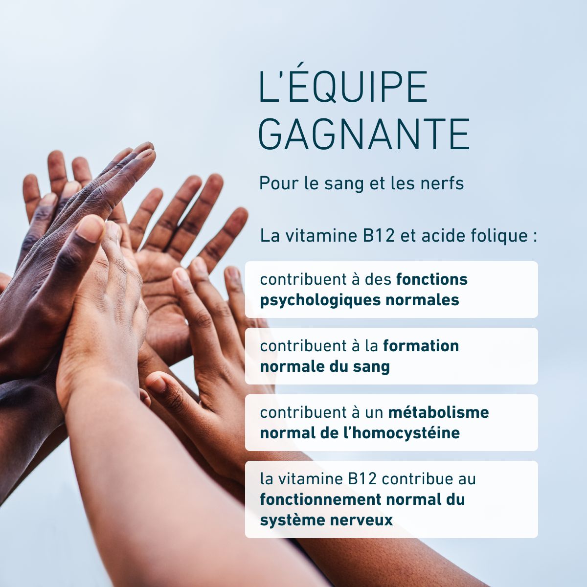 B12 Acide folique