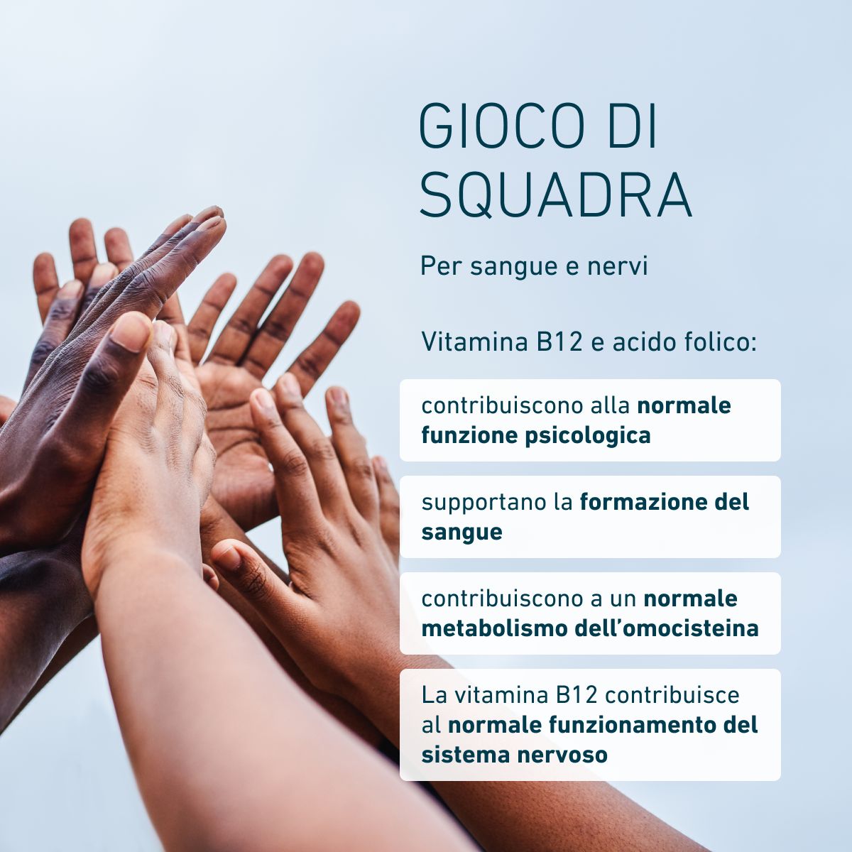 Diverse mani unite simboleggiano il lavoro di squadra. Vitamina B12 e acido folico contribuiscono alla funzione psicologica, alla formazione del sangue e al metabolismo dell’omocisteina; la B12 sostiene il sistema nervos