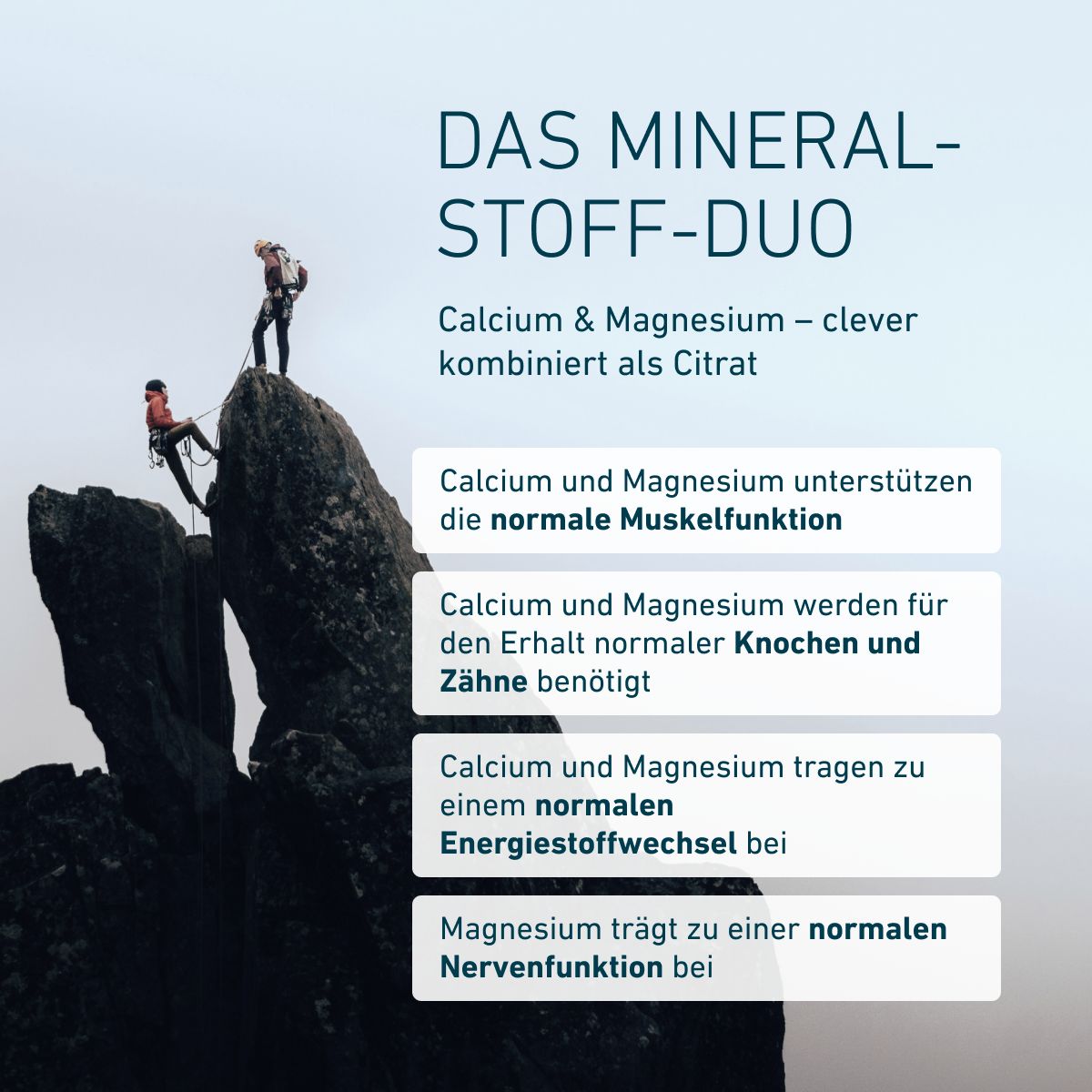Zwei Bergsteiger auf einem Felsen. Calcium und Magnesium unterstützen Muskelfunktion, Knochen, Zähne und Energiestoffwechsel; Magnesium zudem die Nervenfunktion.
